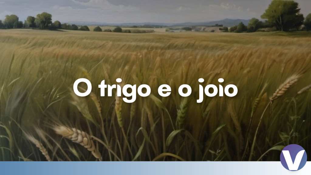 o trigo e o joio curso inglês com a bíblia verse aulas ao vivo e gratuitas de inglês bíblico para cristãos teacher Paula Bernardi